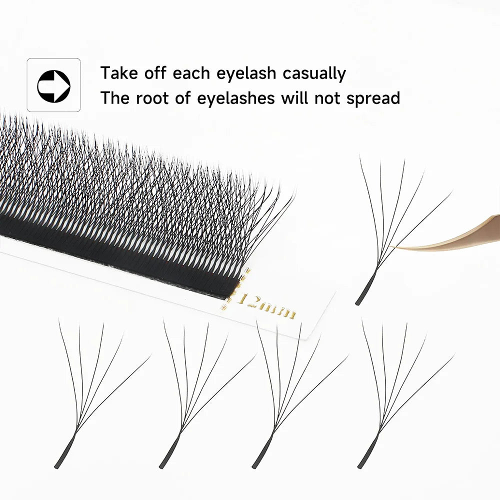 5D W Lashes Black Premade Fans