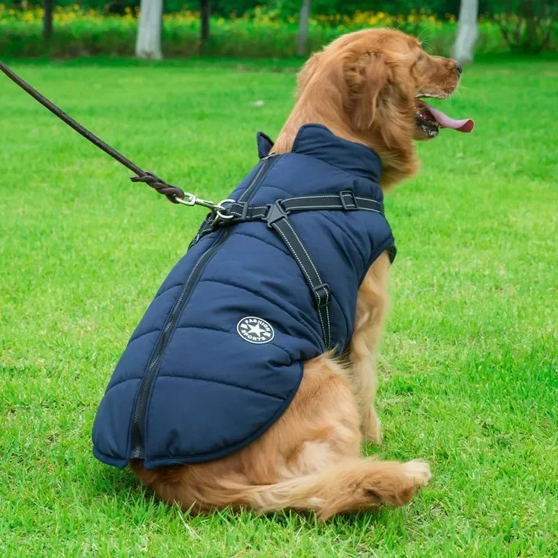 Pet Dog Jacket With Harness Winter Warm Dog Clothes For Labrador Waterproof Small Dog Coat Chihuahua French Bulldog Outfits