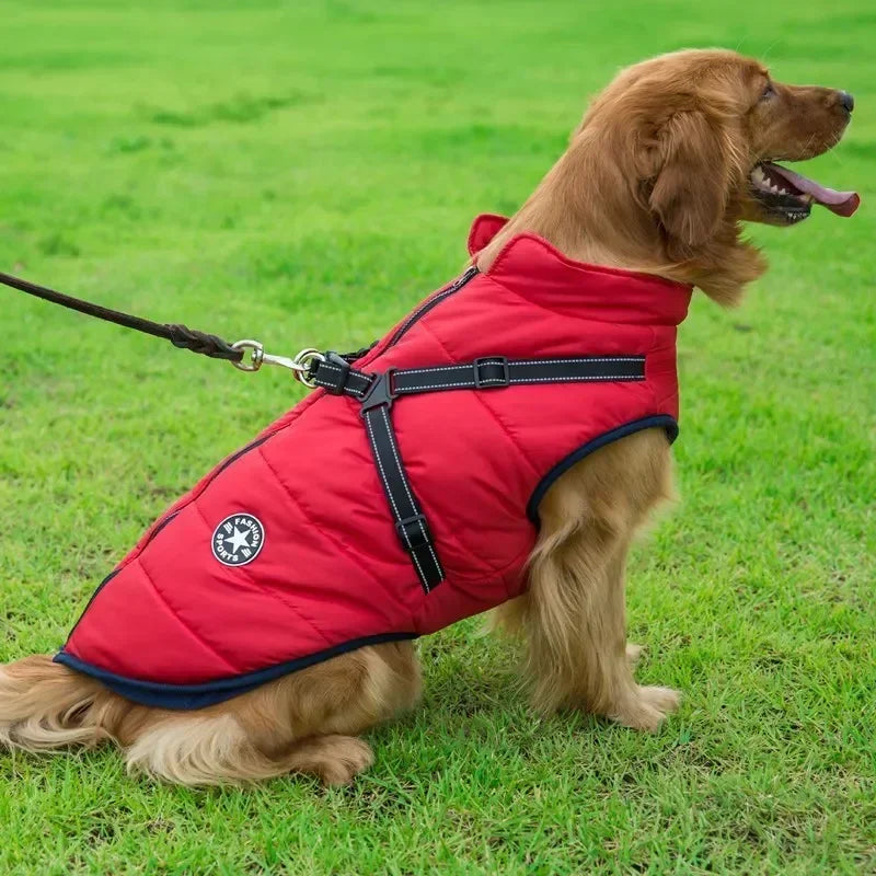 Pet Dog Jacket With Harness Winter Warm Dog Clothes For Labrador Waterproof Small Dog Coat Chihuahua French Bulldog Outfits