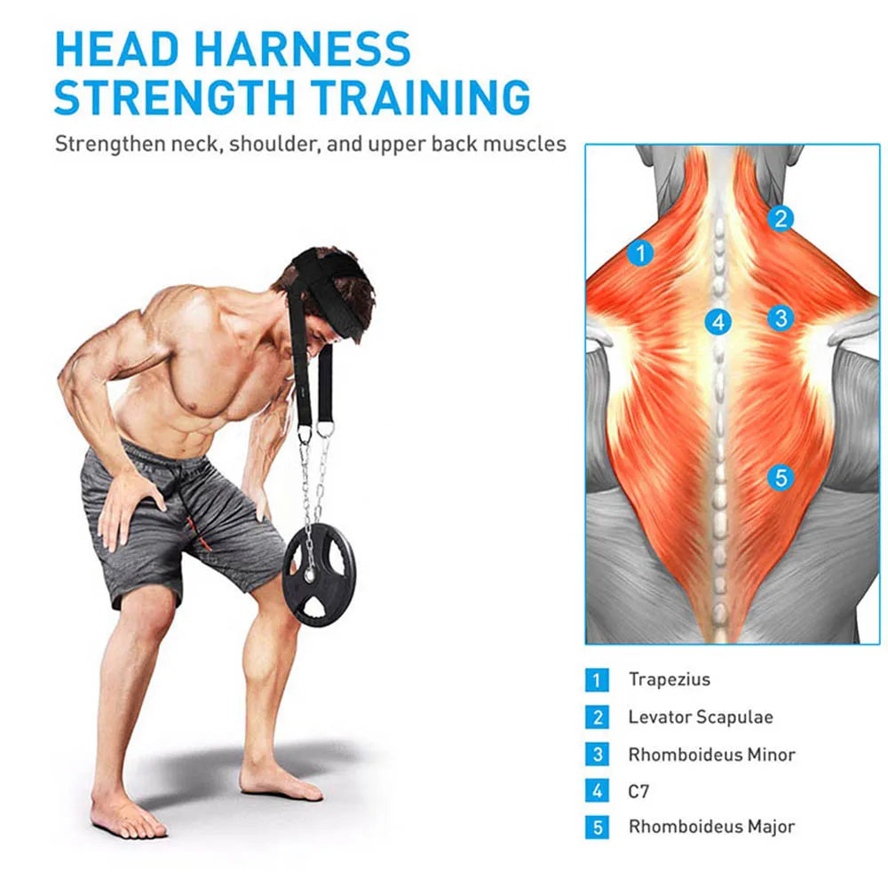 Head Neck Training Head